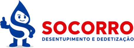 Logo Desentupidora em Jaraguá do Sul